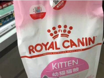 沈阳幼猫吃什么猫粮好，汤恩贝猫粮怎么样？
